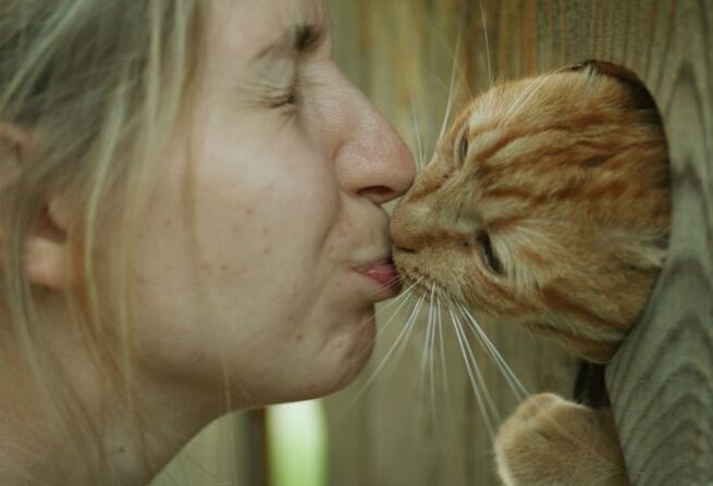 Zizareak infekzioa animaliekin kontaktu bidez